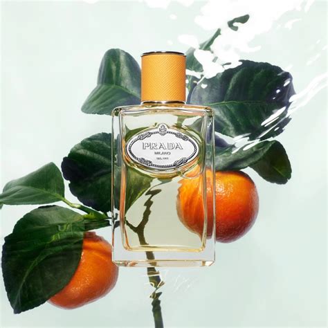 prada mandarine kaufen|Infusion de Mandarine Eau de Parfum .